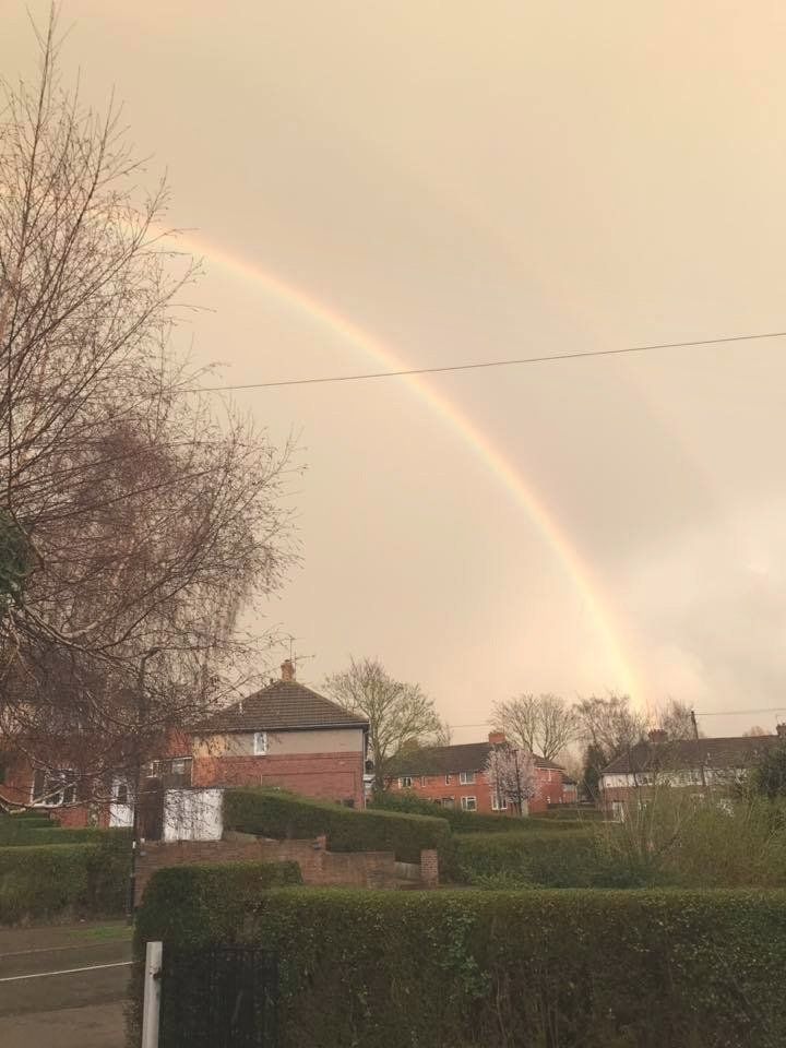 Chimney sweeping York
