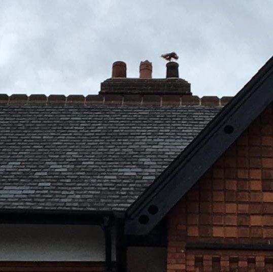 Chimney Sweeping York