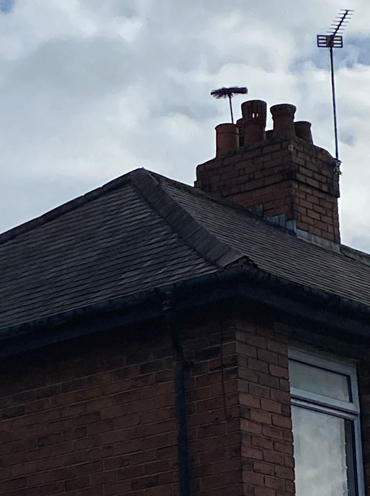 Chimney Sweeping Services